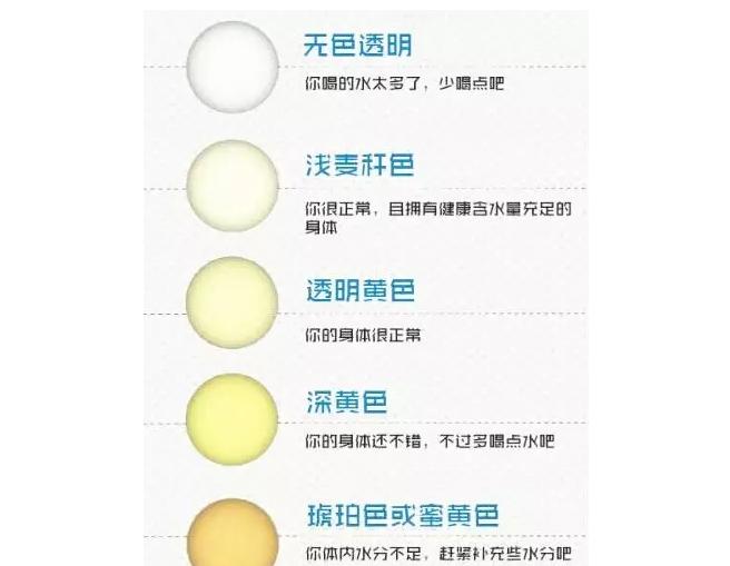 史上最全面的检查项目解读，为了你及家人的健康