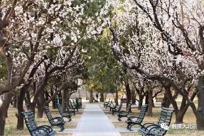 4月整整11天假！瓷器们，这些好消息请查收！