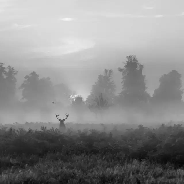 地震发生后我们的应对措施,地震发生时我们该做什么