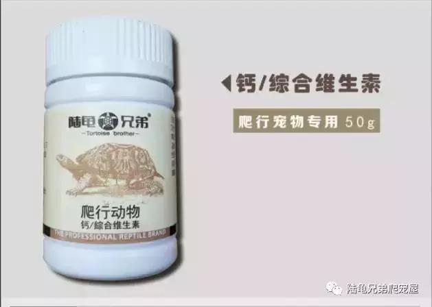 十年磨一剑光启技术深度分析,如何挑选辐射陆龟