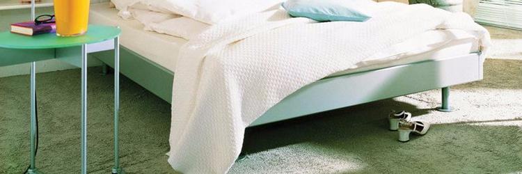 清新自得，一室绿意聚为林