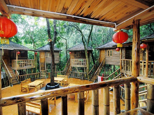 清明深圳周边一日游好去处,深圳仙湖植物园清明踏青赏花