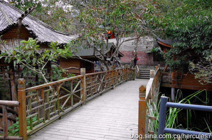 清明深圳周边一日游好去处,深圳仙湖植物园清明踏青赏花