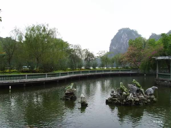 清明深圳周边一日游好去处,深圳仙湖植物园清明踏青赏花