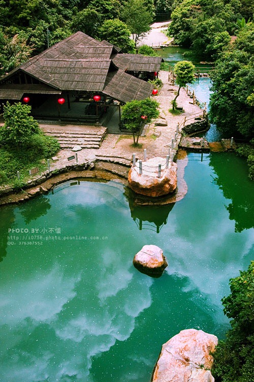 清明深圳周边一日游好去处,深圳仙湖植物园清明踏青赏花