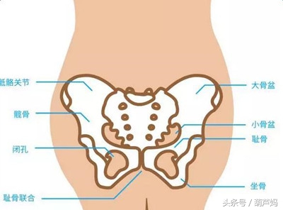 怀孕了才知道冷暖自知,怀孕耻骨痛让老公知道