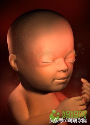 孕期1到40周胎儿发育全过程,胎儿发育40周全过程动态画