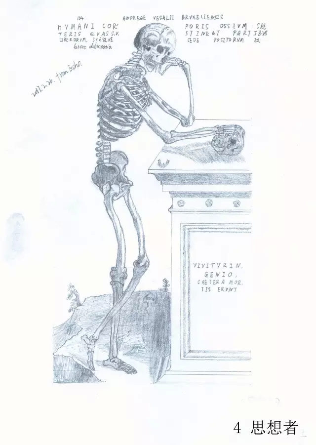 正所谓画骨画皮也画心,画皮画骨还画心