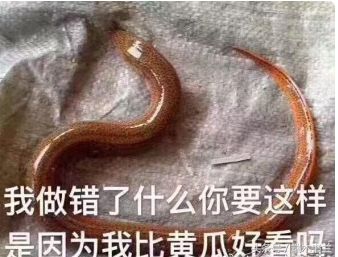 黄鳝灵异故事,黄鳝惊悚民间故事