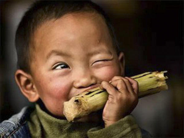 女性吃甘蔗的危害,多吃甘蔗有什么好处