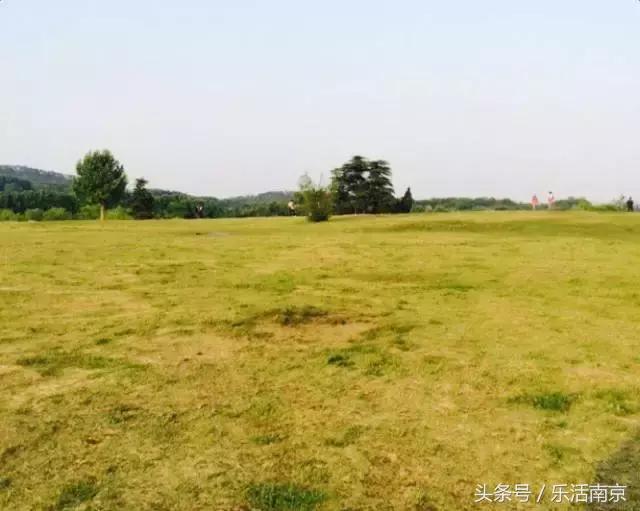 南京莫愁湖公园免费,南京免费公园免费开放日一览表