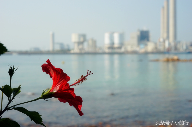 香港南丫岛周润发,周润发在南丫岛哪个村
