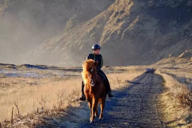 嗨哩文旅丨邂逅外星球，X-Pro2的冰岛考验！