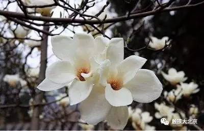 4月整整11天假！瓷器们，这些好消息请查收！