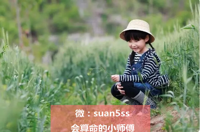 春天正是吃野菜的好时令,云南墨江时令野菜上市尝鲜正当时