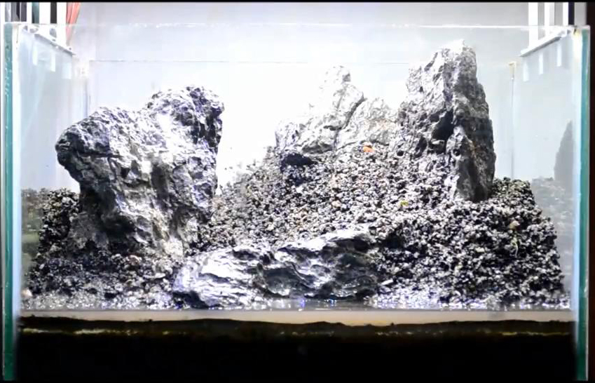 家居草缸｜都玩三湖缸看了这个开缸流程才知道石头景可以更美