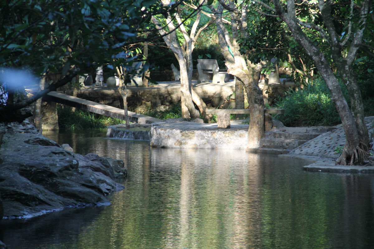清明深圳周边一日游好去处,深圳仙湖植物园清明踏青赏花