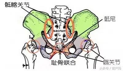 怀孕了才知道冷暖自知,怀孕耻骨痛让老公知道