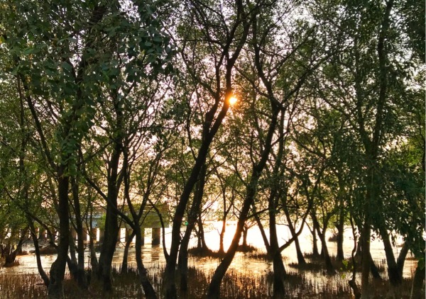 深圳有什么好玩的地方呢,深圳有什么好玩的地方适合小孩