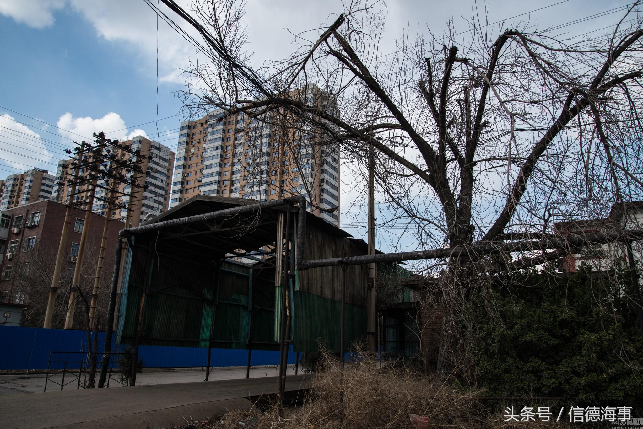 天津新港造船厂现状,天津新港船厂前景