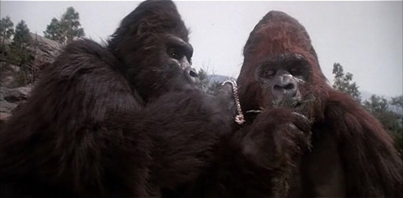 电影金刚有多大多重,金刚系列电影有多少只巨兽
