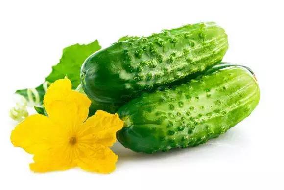 每天只吃黄瓜苹果可以减肥吗,黄瓜苹果减肥功效