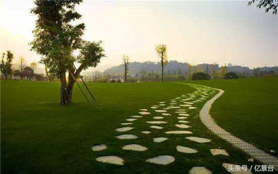 渝北区十大景点,渝北风景优美的景点