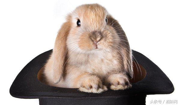 100种解酒偏方,全球最全解酒方法