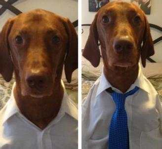 银行储备生和管培生区别,湖北银行总行管培生好吗