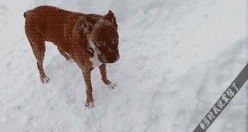 我想红舞蹈舞台版,我想红