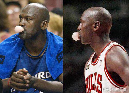 牙套的物种起源：库里叼着它可不止为了耍酷｜懒熊涨姿势