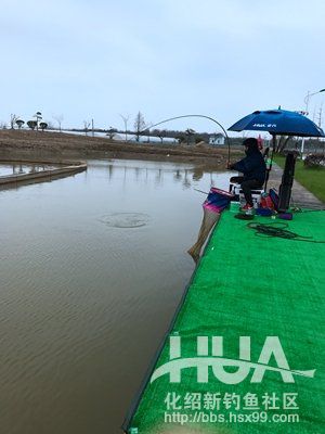 最新黑坑鱼竿测评,黑坑测试鲫鱼3.6米鱼竿推荐