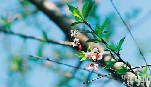 气清景明万物生长意思,清明节风和日丽万物萌生
