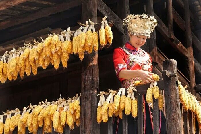 城步县苗族妹子视频,城步苗族姑娘抖音