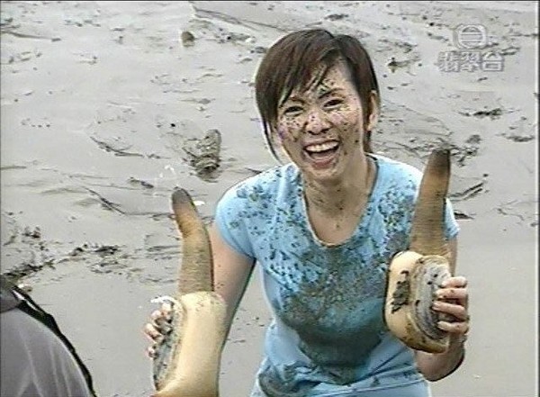 捕捞到各种鱼,捕捞到岸分拣