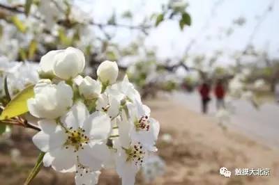 4月整整11天假！瓷器们，这些好消息请查收！