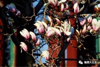 4月整整11天假！瓷器们，这些好消息请查收！