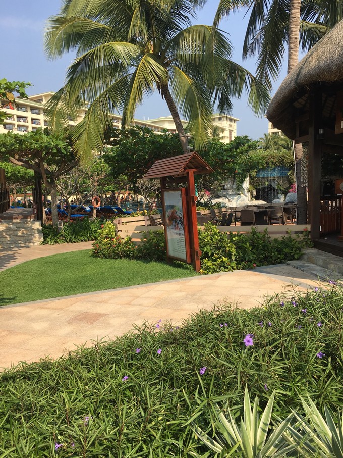 去三亚旅游美食攻略自由行,三亚亲子度假攻略四天三晚嗨翻天