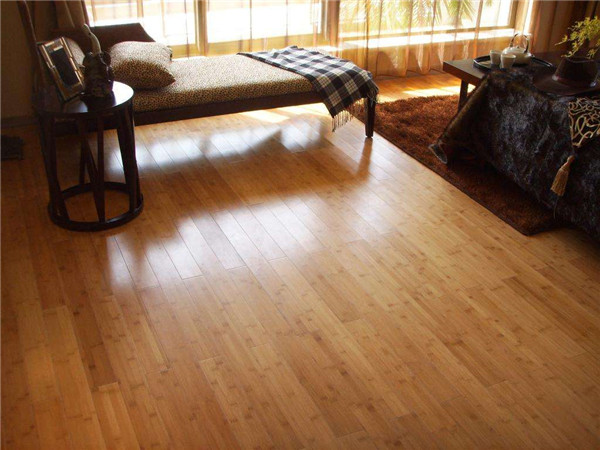 绔规湪鍦版澘鍙互鍒锋娌瑰悧鏈夌敳閱涘悧,绔规湪鍦版澘鎬庢牱娓呮磥鍏绘姢