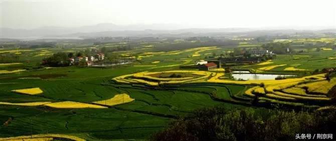 浜北鐨勯剛涓豢瀹濈煶,浜北鍥犱粈涔堣绉伴剛涓豢瀹濈煶