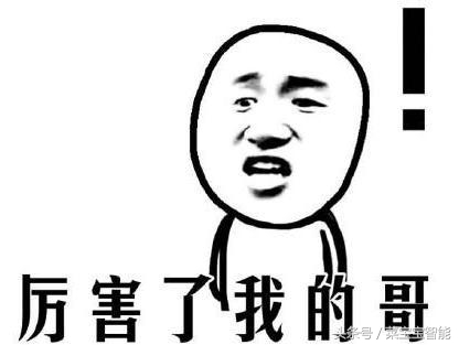 为什么喜欢吃鲱鱼,爱吃鲱鱼