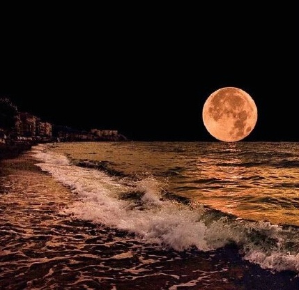 从三毛流浪记中感悟,三毛的经典一句话