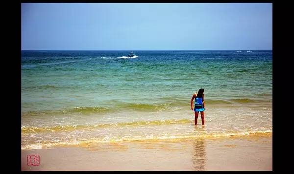 清明深圳周边一日游好去处,深圳仙湖植物园清明踏青赏花