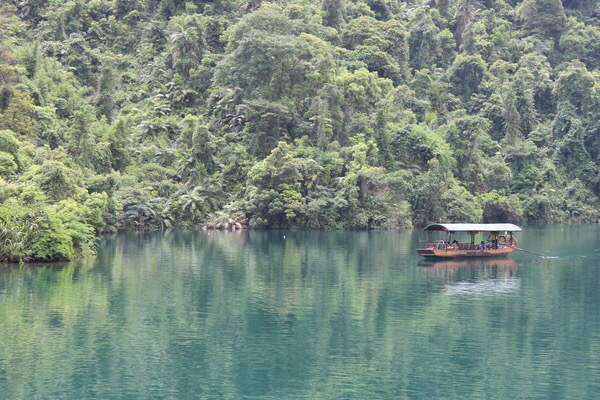 清明深圳周边一日游好去处,深圳仙湖植物园清明踏青赏花