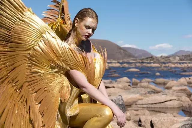 金贝外拍灯,金贝外拍灯测评