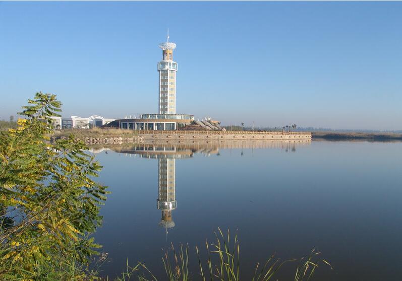 鸣翠湖万人植树节来袭，这里有颗樱花树等你来认领！