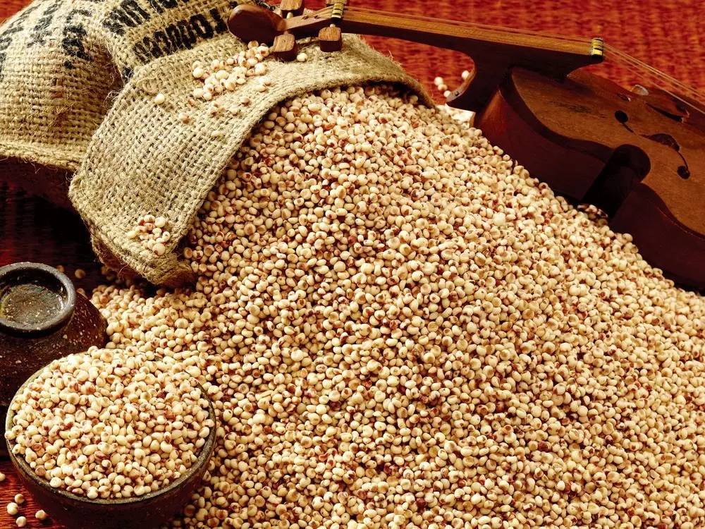 吃什么可以祛水肿和湿气,湿气重喝5款祛湿药