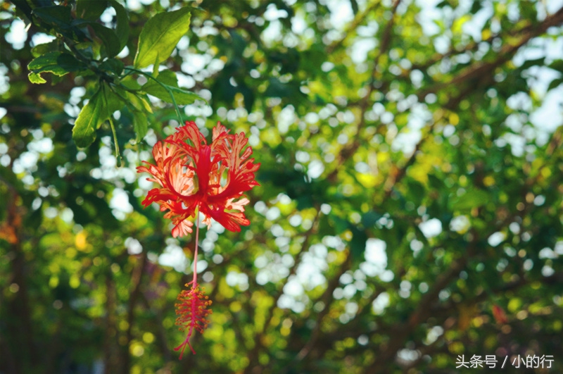 香港南丫岛周润发,周润发在南丫岛哪个村