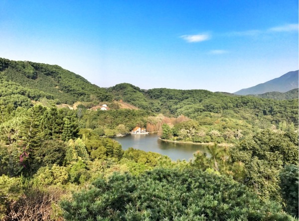 深圳有什么好玩的地方呢,深圳有什么好玩的地方适合小孩