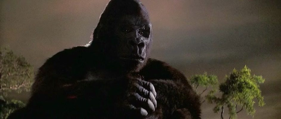 电影金刚有多大多重,金刚系列电影有多少只巨兽